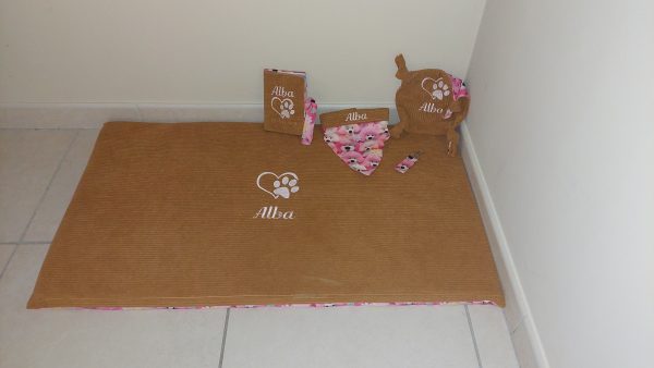Kit bébé chiot