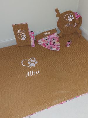 Kit bébé chiot