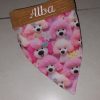 Kit bébé chiot