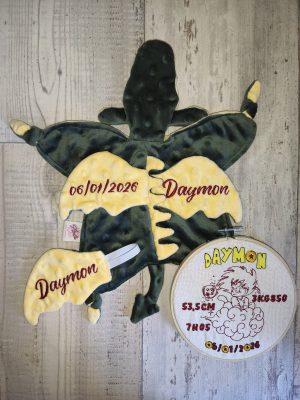 IMG_20260129_154453 Cadeau Naissance Daymon