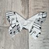 Papillon origami